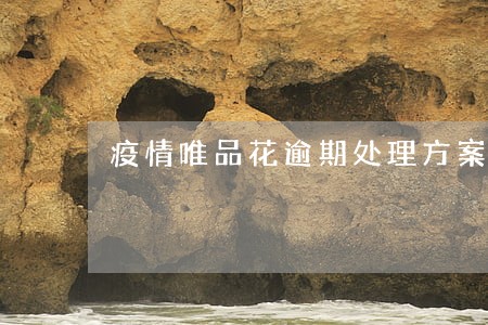 疫情唯品花逾期处理方案 疫情唯品花逾期处理方案