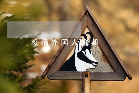疫情外国人逾期 疫情外国人逾期
