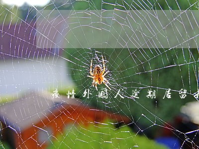 疫情外国人逾期居留如何出境 疫情外国人逾期居留如何出境