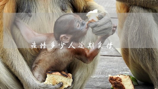 疫情多少人逾期负债 疫情多少人逾期负债