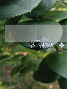 疫情大学生创业贷款逾期