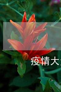 疫情大量网贷逾期