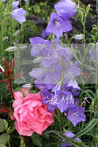 疫情太多人逾期 疫情太多人逾期