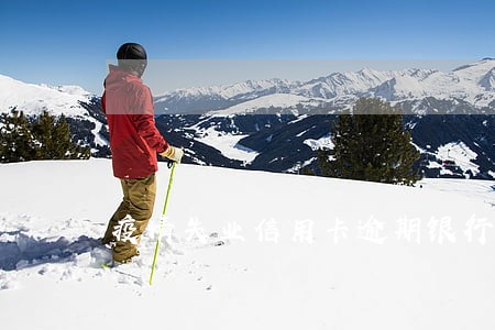 疫情失业信用卡逾期银行起诉 疫情失业信用卡逾期银行起诉