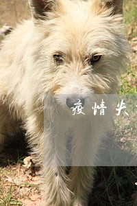 疫情失业导致逾期 疫情失业导致逾期