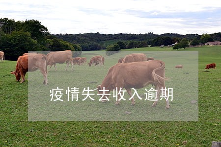疫情失去收入逾期 疫情失去收入逾期