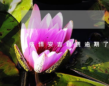 疫情安吉租赁逾期了怎么办 疫情安吉租赁逾期了怎么办