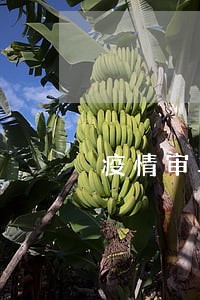 疫情审车逾期可以上路吗 疫情审车逾期可以上路吗