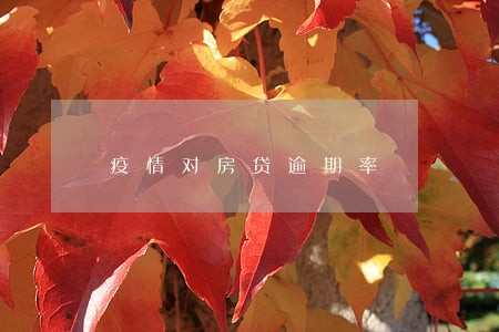 疫情对房贷逾期率 疫情对房贷逾期率