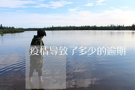 疫情导致了多少的逾期