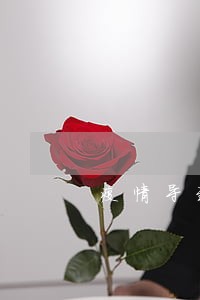 疫情导致二次逾期 疫情导致二次逾期