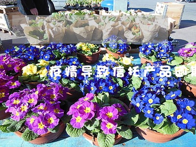 疫情导致信托产品逾期 疫情导致信托产品逾期