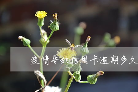 疫情导致信用卡逾期多久上征信 疫情导致信用卡逾期多久上征信