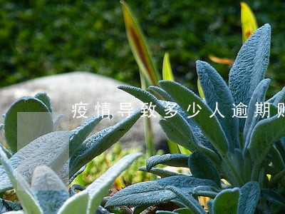 疫情导致多少人逾期贴吧