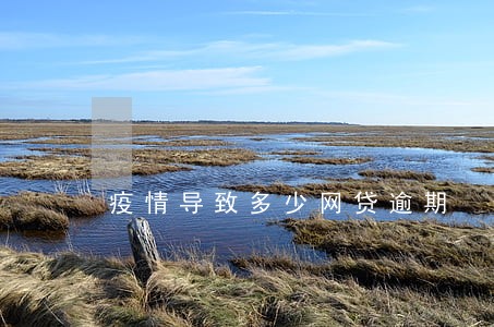 疫情导致多少网贷逾期 疫情导致多少网贷逾期