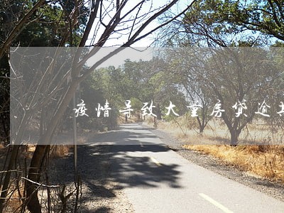 疫情导致大量房贷逾期 疫情导致大量房贷逾期