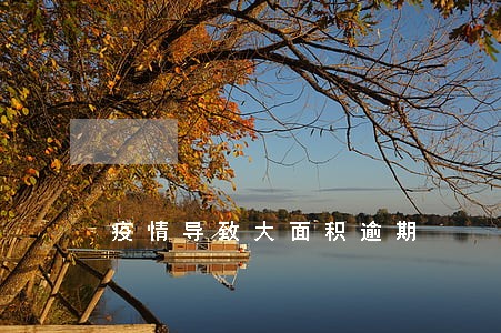疫情导致大面积逾期 疫情导致大面积逾期
