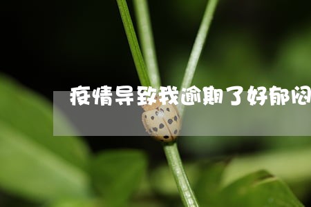 疫情导致我逾期了好郁闷 疫情导致我逾期了好郁闷