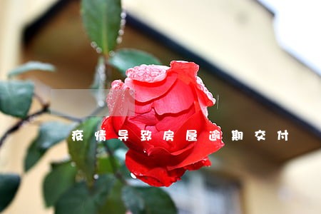 疫情导致房屋逾期交付 疫情导致房屋逾期交付