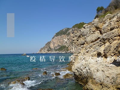 疫情导致房贷大面积逾期 疫情导致房贷大面积逾期