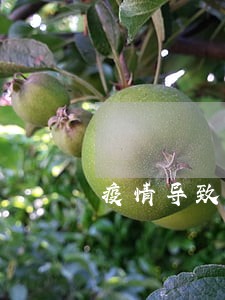 疫情导致房贷逾期可以投诉吗 疫情导致房贷逾期可以投诉吗