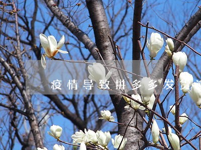 疫情导致拼多多发货逾期 疫情导致拼多多发货逾期