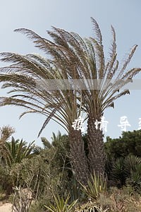 疫情导致的信用逾期 疫情导致的信用逾期