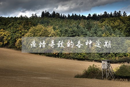 疫情导致的各种逾期