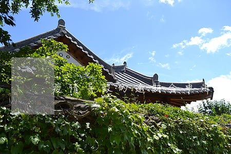 疫情导致的逾期会申诉吗