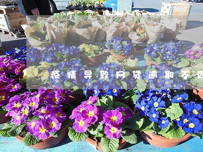疫情导致网贷逾期不同意协商 疫情导致网贷逾期不同意协商