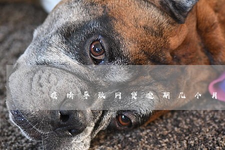 疫情导致网贷逾期几个月 疫情导致网贷逾期几个月