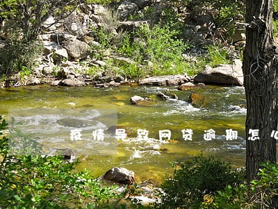 疫情导致网贷逾期怎么处理 疫情导致网贷逾期怎么处理