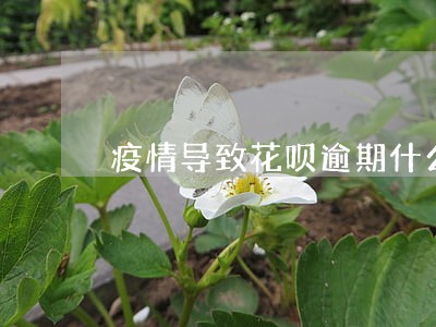 疫情导致花呗逾期什么时候恢复 疫情导致花呗逾期什么时候恢复