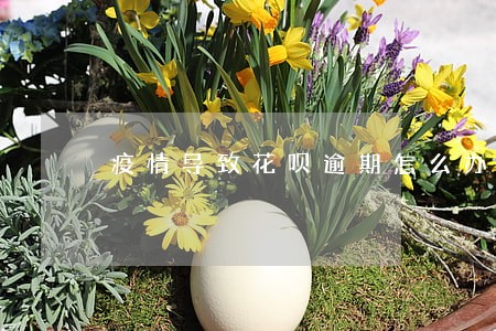 疫情导致花呗逾期怎么办