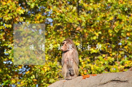 疫情导致退货逾期 疫情导致退货逾期