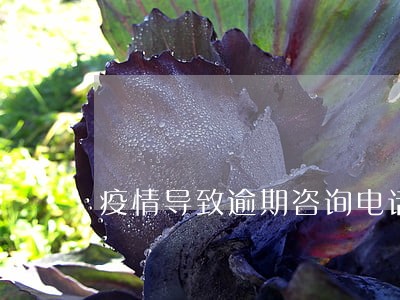疫情导致逾期咨询电话 疫情导致逾期咨询电话