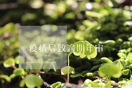 疫情导致逾期年审 疫情导致逾期年审