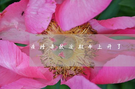 疫情导致逾期率上升了