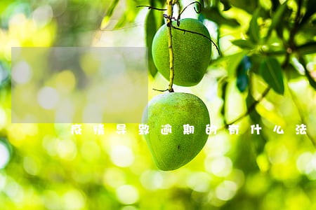 疫情导致逾期的有什么法律保护