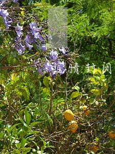 疫情封闭道路违法吗 疫情封闭道路违法吗