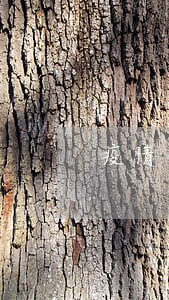 疫情小微企业主逾期 疫情小微企业主逾期