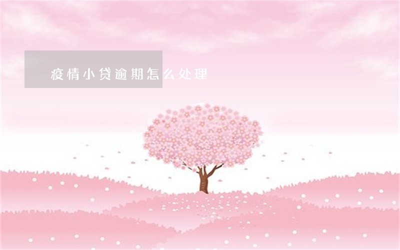 疫情小贷逾期怎么处理 疫情小贷逾期怎么处理
