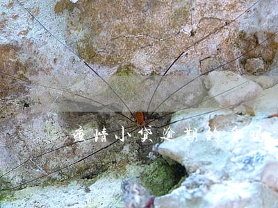 疫情小贷逾期的多吗 疫情小贷逾期的多吗