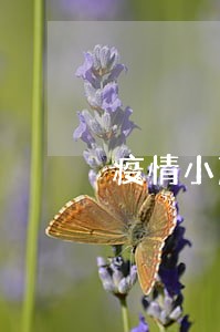 疫情小赢卡贷逾期爆通讯录 疫情小赢卡贷逾期爆通讯录