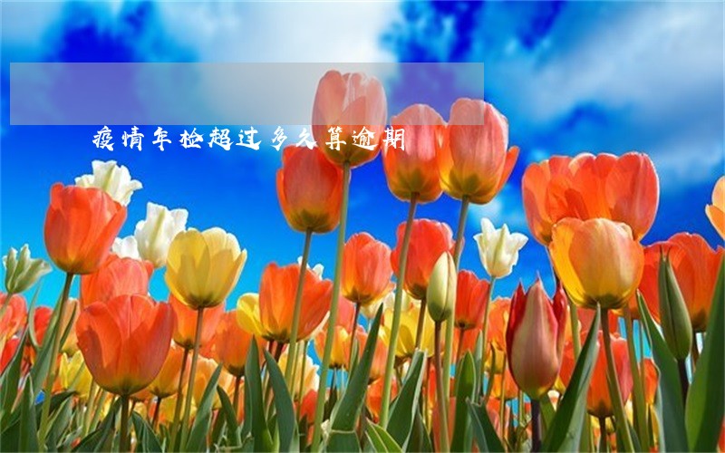 疫情年检超过多久算逾期 疫情年检超过多久算逾期