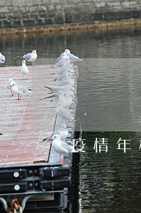 疫情年检逾期10个月 疫情年检逾期10个月