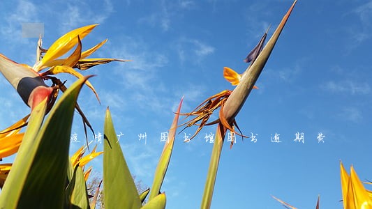 疫情广州图书馆图书逾期费 疫情广州图书馆图书逾期费