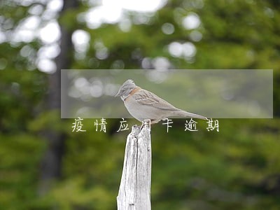 疫情应用卡逾期 疫情应用卡逾期