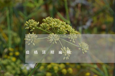 疫情延期逾期 疫情延期逾期