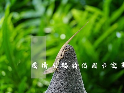 疫情引起的信用卡逾期 疫情引起的信用卡逾期